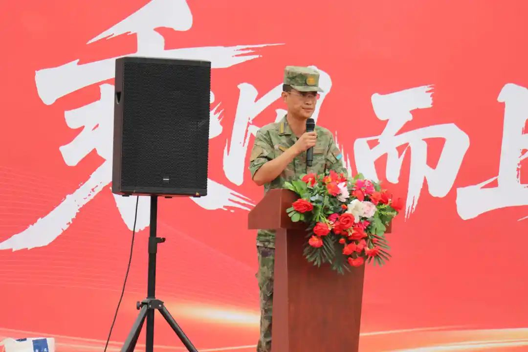 图片8